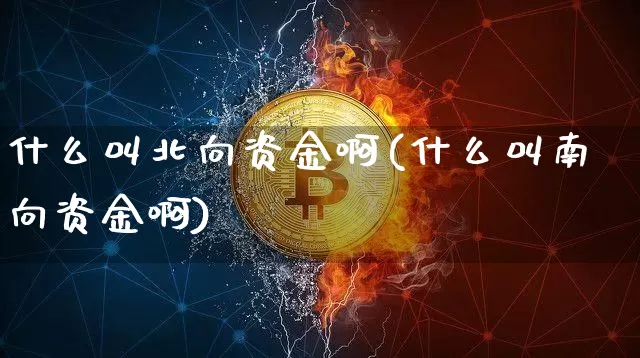 什么叫北向资金啊(什么叫南向资金啊)_https://www.jyywjc.com_股票行情_第1张
