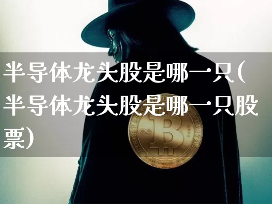 半导体龙头股是哪一只(半导体龙头股是哪一只股票)_https://www.jyywjc.com_科创板_第1张