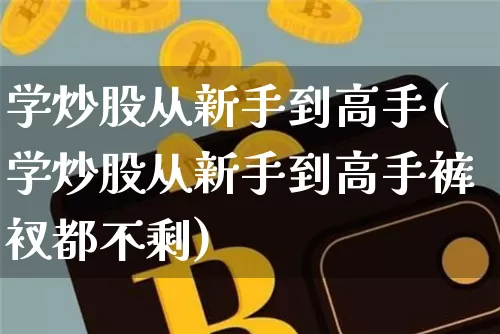 学炒股从新手到高手(学炒股从新手到高手裤衩都不剩)_https://www.jyywjc.com_股票价格_第1张