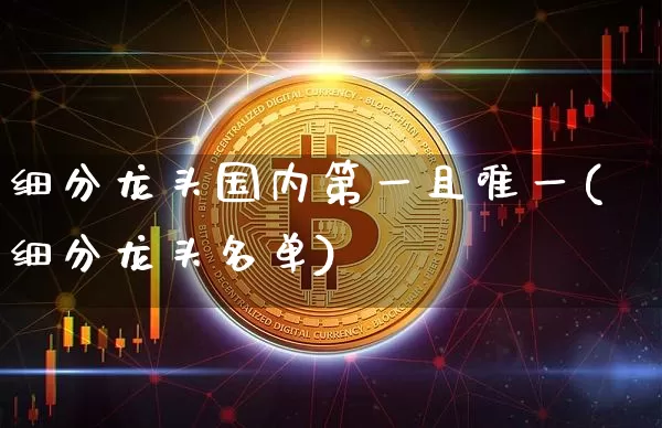 细分龙头国内第一且唯一(细分龙头名单)_https://www.jyywjc.com_股票趋势_第1张