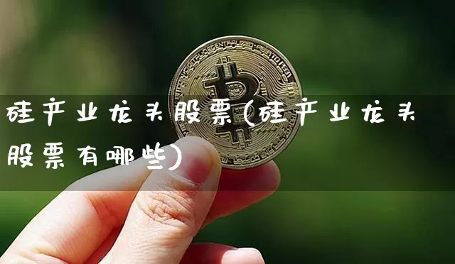 硅产业龙头股票(硅产业龙头股票有哪些)_https://www.jyywjc.com_股票行情_第1张