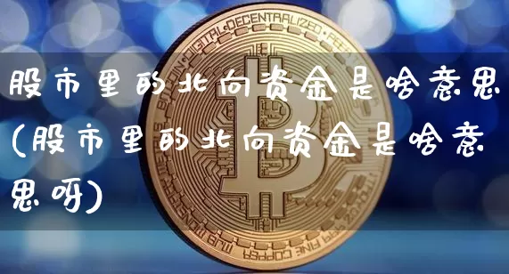 股市里的北向资金是啥意思(股市里的北向资金是啥意思呀)_https://www.jyywjc.com_股票板块_第1张