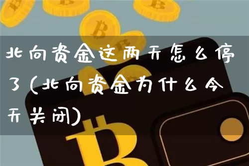 北向资金这两天怎么停了(北向资金为什么今天关闭)_https://www.jyywjc.com_股票趋势_第1张