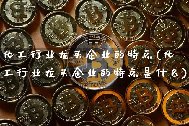 化工行业龙头企业的特点(化工行业龙头企业的特点是什么)_https://www.jyywjc.com_股票价格_第1张
