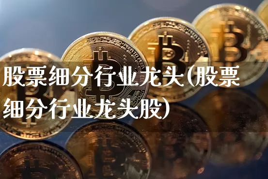 股票细分行业龙头(股票细分行业龙头股)_https://www.jyywjc.com_创业板_第1张