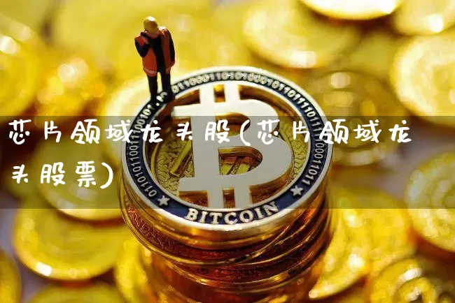 芯片领域龙头股(芯片领域龙头股票)_https://www.jyywjc.com_创业板_第1张