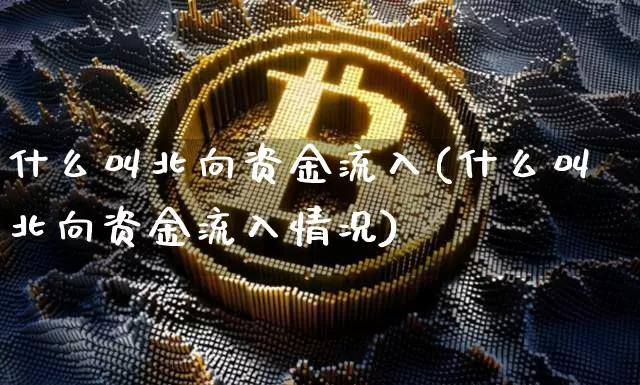 什么叫北向资金流入(什么叫北向资金流入情况)_https://www.jyywjc.com_股票行情_第1张