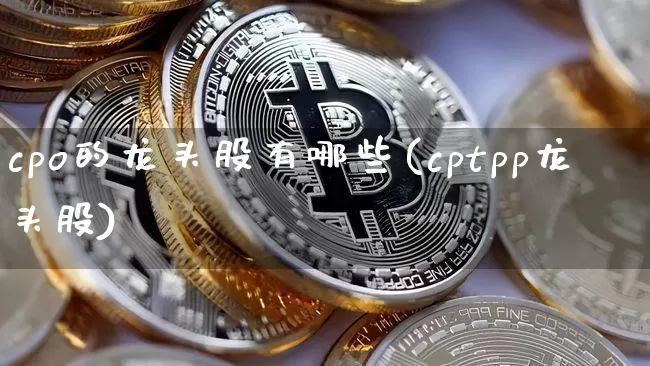 cpo的龙头股有哪些(cptpp龙头股)_https://www.jyywjc.com_北交所_第1张