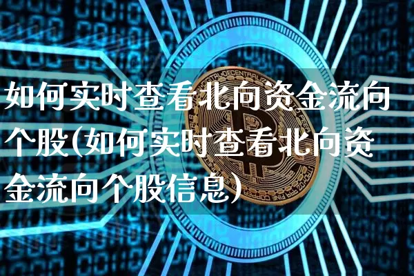 如何实时查看北向资金流向个股(如何实时查看北向资金流向个股信息)_https://www.jyywjc.com_股票_第1张